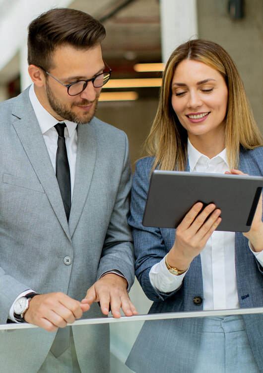 About TheHirelytics